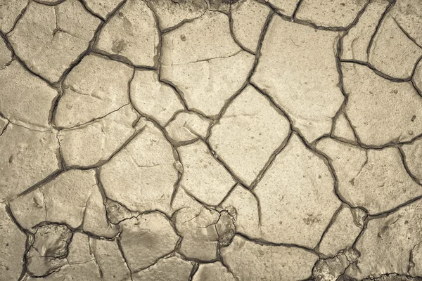 Land with a dry cracked ground , season water shortage. — Stock Photo, Image