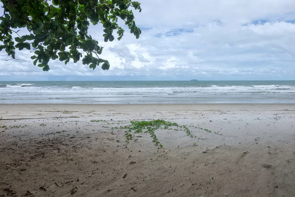 Olas marinas turquesas en Rayong Tailandia. La playa y la hiedra — Foto de Stock