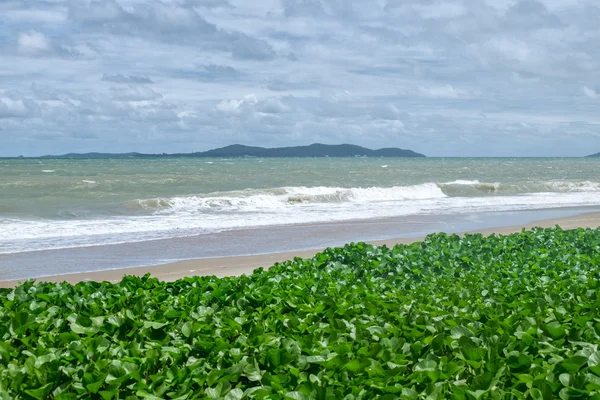 ラヨーン、タイでターコイズ ブルーの海の波。ビーチとアイビー — ストック写真