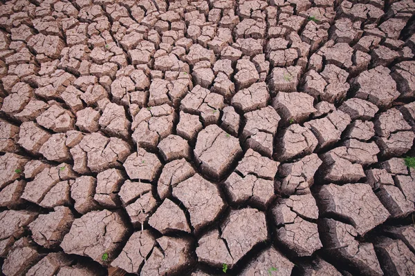 Půda vyprahlá, sezóně nedostatek vody — Stock fotografie