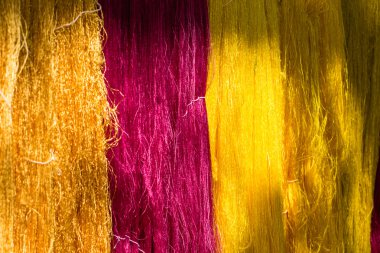 Koza ipekböceği, rengi sarı ve beyaz