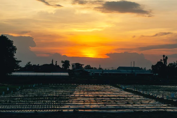 Силует, сутінки заходу сонця на фермі та оранжевому небі — стокове фото