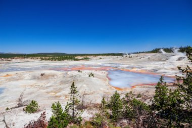 Yellowstone Millî Parkı ABD Norris Şofben havzasında