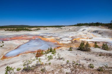 Yellowstone Millî Parkı ABD Norris Şofben havzasında