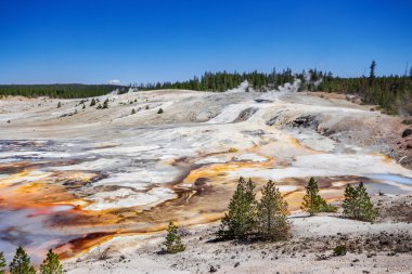 Yellowstone Millî Parkı ABD Norris Şofben havzasında