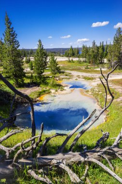 Batı başparmak Yellowstone Milli Parkı, ABD