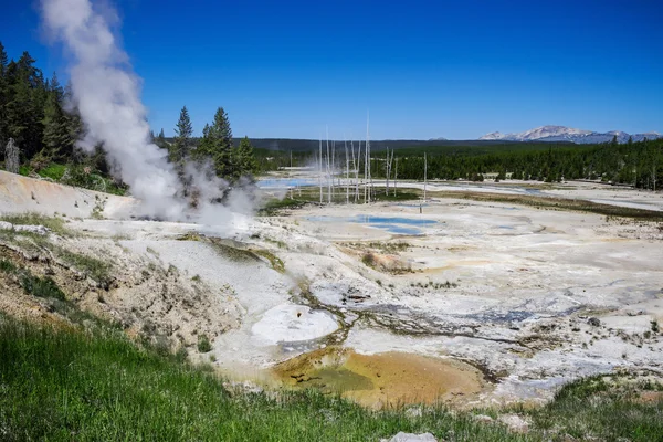 The Norris Geyser Basin en el Parque Nacional de Yellowstone Estados Unidos — Foto de Stock