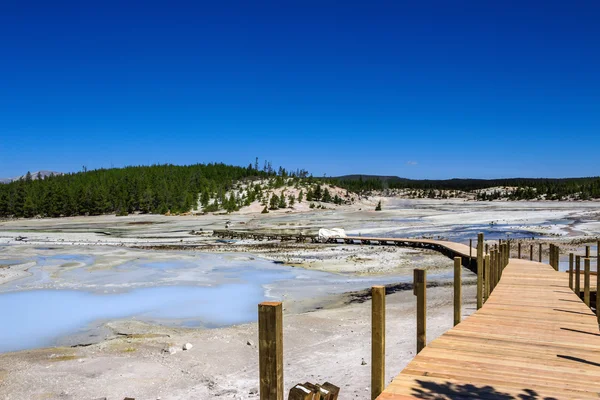 Norris Gejzer basenu w Parku Narodowym Yellowstone, Stany Zjednoczone Ameryki — Zdjęcie stockowe