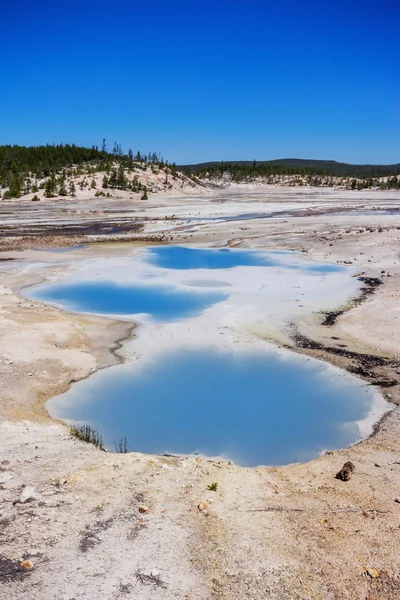 Il bacino del Norris Geyser nel Parco Nazionale di Yellowstone USA — Foto Stock