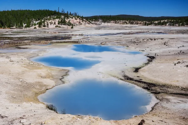 A Norris gejzír-medencében a Yellowstone Nemzeti Park Usa — Stock Fotó