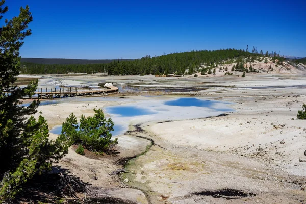 The Norris Geyser Basin in Yellowstone National Park USA — Stock Photo, Image