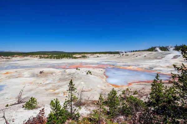 Norris Gejzer basenu w Parku Narodowym Yellowstone, Stany Zjednoczone Ameryki — Zdjęcie stockowe