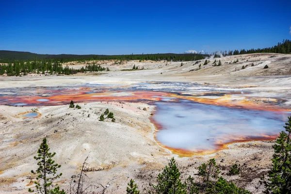 Norris Gejzer basenu w Parku Narodowym Yellowstone, Stany Zjednoczone Ameryki — Zdjęcie stockowe