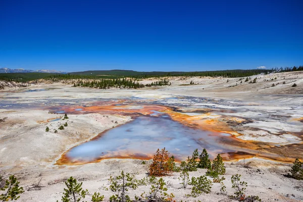 Norris Gejzer basenu w Parku Narodowym Yellowstone, Stany Zjednoczone Ameryki — Zdjęcie stockowe