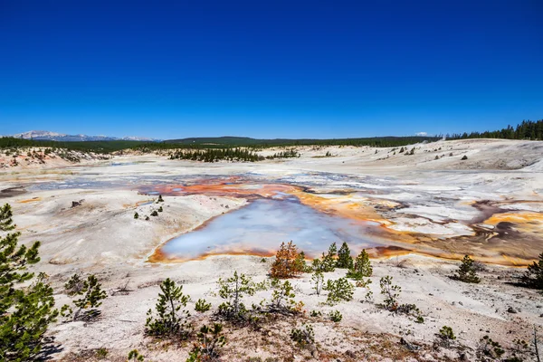 Norris Gejzer basenu w Parku Narodowym Yellowstone, Stany Zjednoczone Ameryki — Zdjęcie stockowe