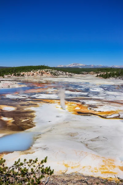 Norris Gejzer basenu w Parku Narodowym Yellowstone, Stany Zjednoczone Ameryki — Zdjęcie stockowe