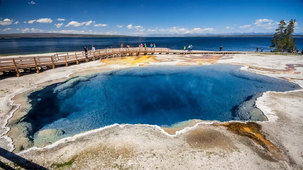 West kciuk w Yellowstone National Park, Stany Zjednoczone Ameryki — Zdjęcie stockowe