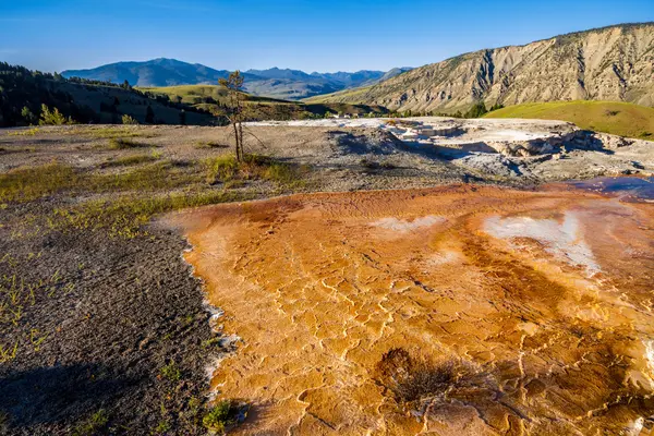 Mound Terrace, zona de Mammoth Hot Springs en el Parque Nacional de Yellowstone, Estados Unidos — Foto de Stock