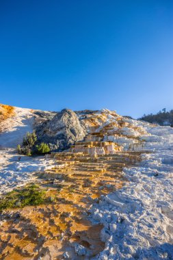 Höyüğün Teras, mamut Hot Springs alan Yellowstone Milli Parkı, ABD