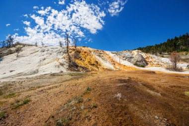 Höyüğün Teras, mamut Hot Springs alan Yellowstone Milli Parkı, ABD