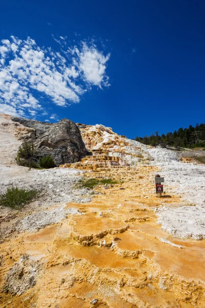 Mound Terrace , Mammoth Hot Springs area in Yellowstone National Park,USA — Stock Photo, Image