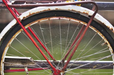 Örümcek ağlı eski bisiklet tekerleği