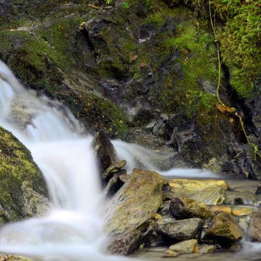Rock Spring Doğal Akış Arkaplanı