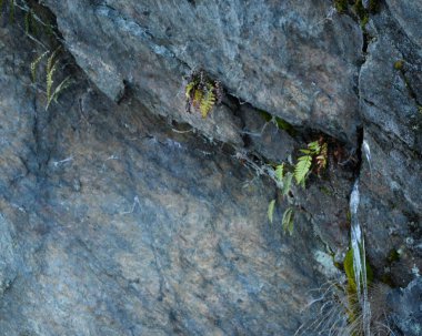 Taş Duvar Isiklet Ayrıntıları Arkaplanı