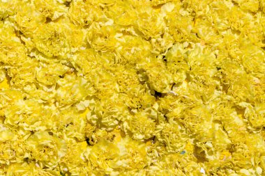 Buket sarı çiçekler karanfil