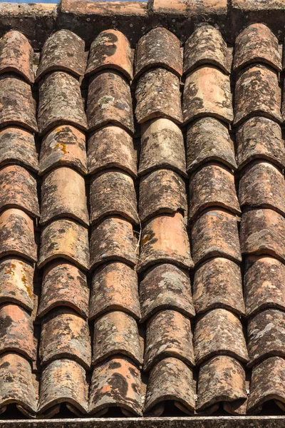 The ancient roof — Stock Photo, Image