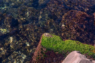 Background of a beautiful transparent Sicilian sea