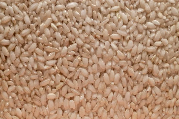 Szczegóły Dotyczące Ziaren Ryżu Idealny Tła Tekstury — Zdjęcie stockowe