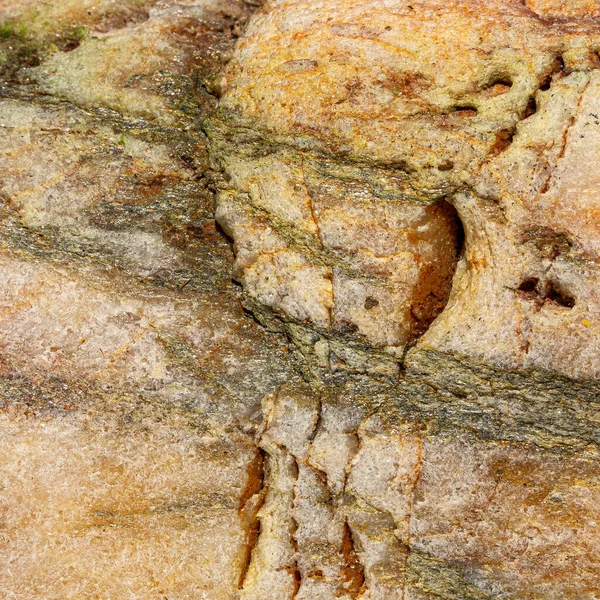 Деталь Барвистого Морського Каменю Ідеально Підходить Фону Текстур — стокове фото