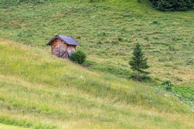 Alp evleri ve çayırlar. Tipik dağ manzarası