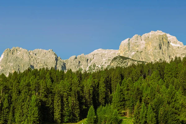 Pohled Dolomity Souvisejícím Lesem — Stock fotografie