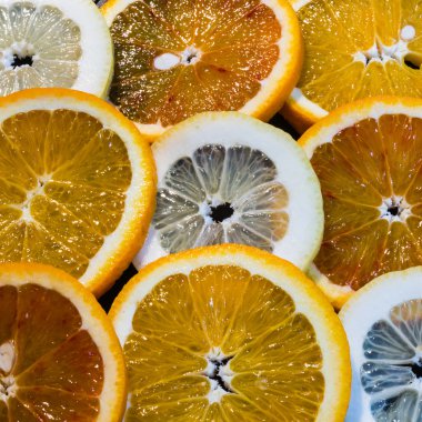 Renkli yuvarlak Citrius meyve arka plan