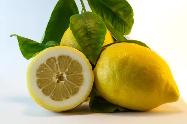 El limón fresco — Foto de Stock