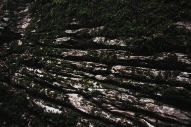 Arkaplanı yosun olan beyaz koyu kaya