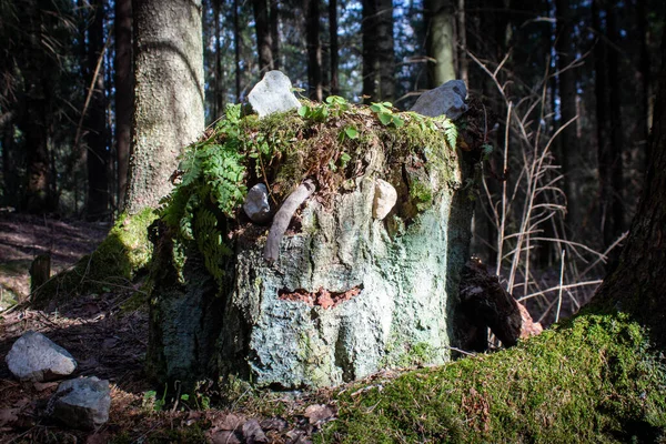 Obyvatelem Lesa Pahýl Obličejem Obličej Přírodních Materiálů — Stock fotografie