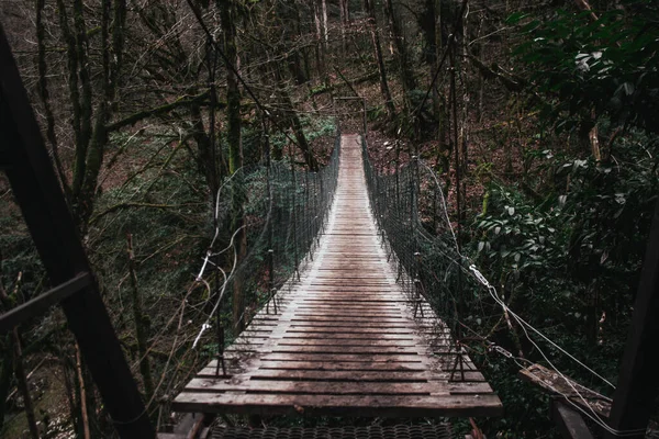 Puente Madera Bosque — Foto de Stock