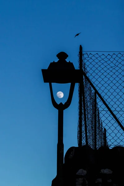 Lune dans un lampadaire. — Photo