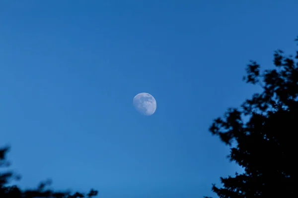 Night moon in the blue sky