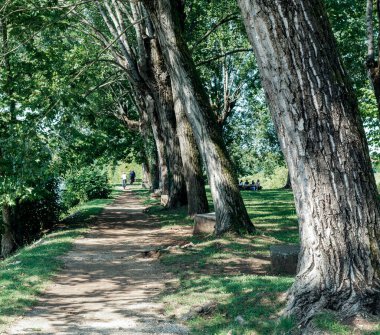 bir arazi bisikleti yolu