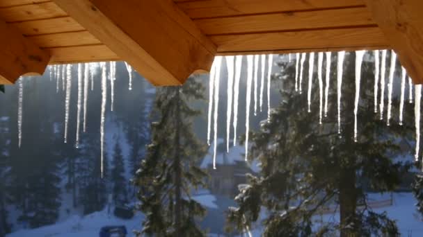 Eiszapfen glitzern weiß mit Wassertropfen, Eis hängt herunter — Stockvideo