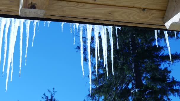 Glaçons étincelant blanc avec des gouttes d'eau glace suspendue — Video