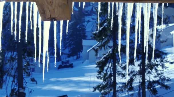 Glaçons étincelant blanc avec des gouttes d'eau glace suspendue — Video