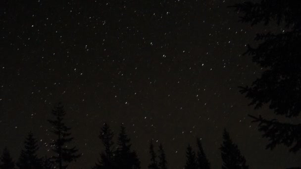 Звезды в ночном небе. Звезды оставляют следы . — стоковое видео