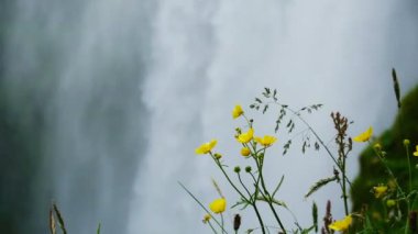 İzlanda 'nın güneyindeki ünlü Skogarfoss Şelalesi.