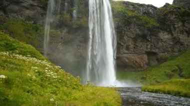 İzlanda 'da Seljalandsfoss şelalesi