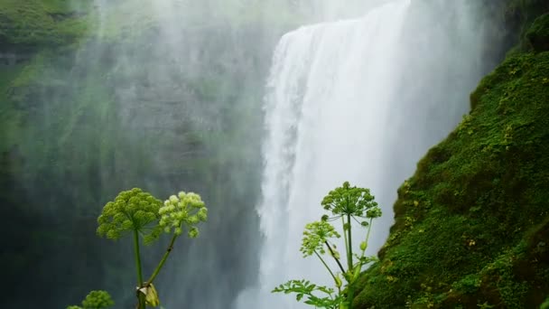 A Dél-Izlandi vízesés Skogarfoss. — Stock videók